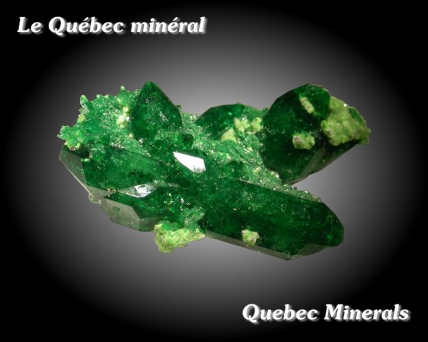 Cristal bi-termin� de v�suvianite chromif�re -- Bi-terminated crytal of chrome vesuvianite -- 2,9 cm